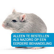 Extra behandeling knaagdieren in Den Haag (voor particulieren)