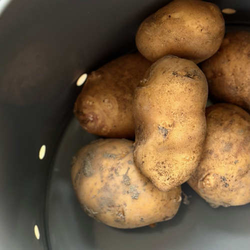 Bewaarblik Aardappelen Leisteengrijs