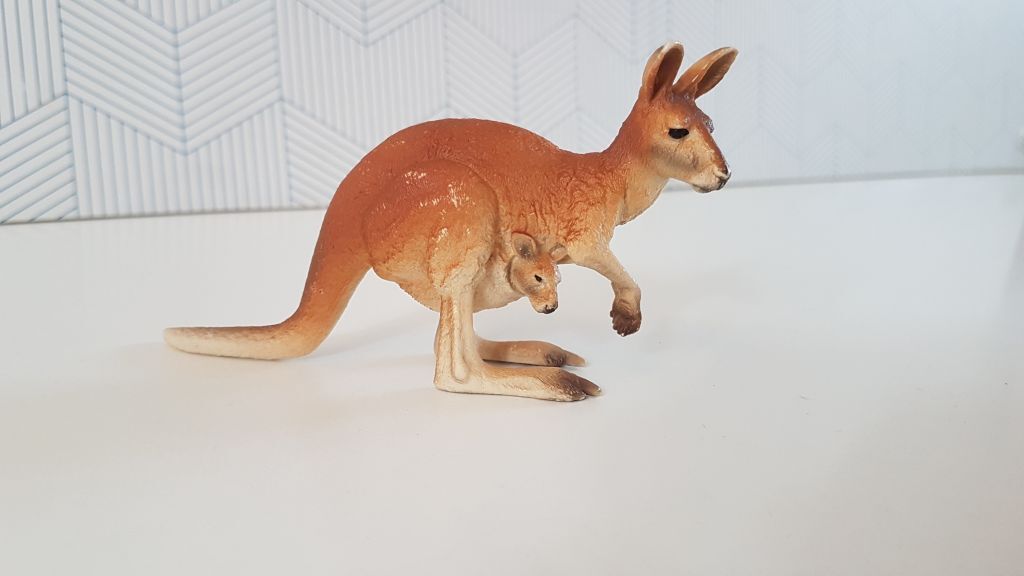 Kangaroo met jong