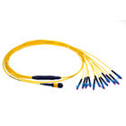 Neutrik opticalCON MTP® 12  Breakout Cable.High performance MTP breakout cable