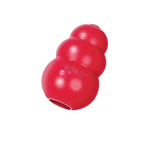 KONG TOY SMALL ROOD