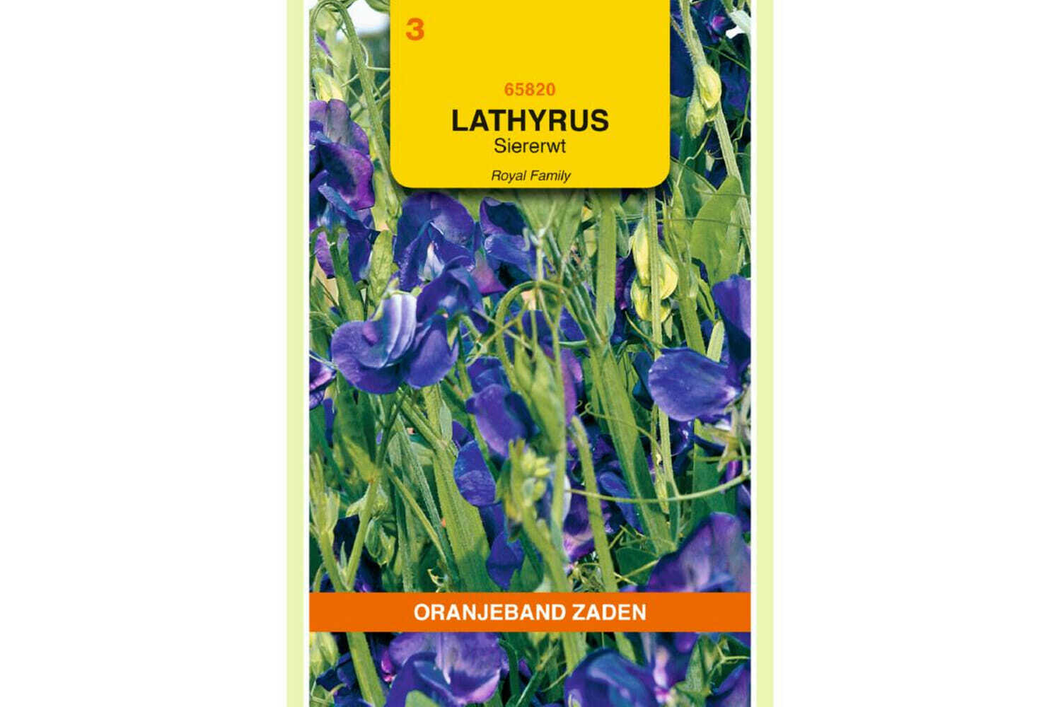 OBZ 665820 Lathyrus , Reuk- of siererwt Royal, blauw