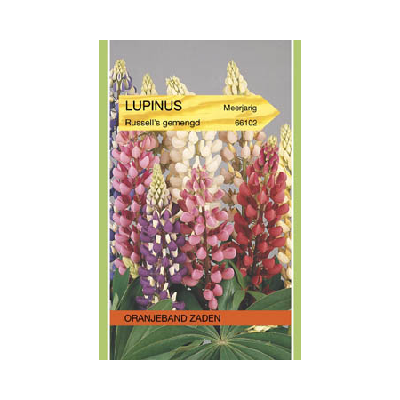 OBZ 666102 Lupinus, Lupine Russell's gemengd