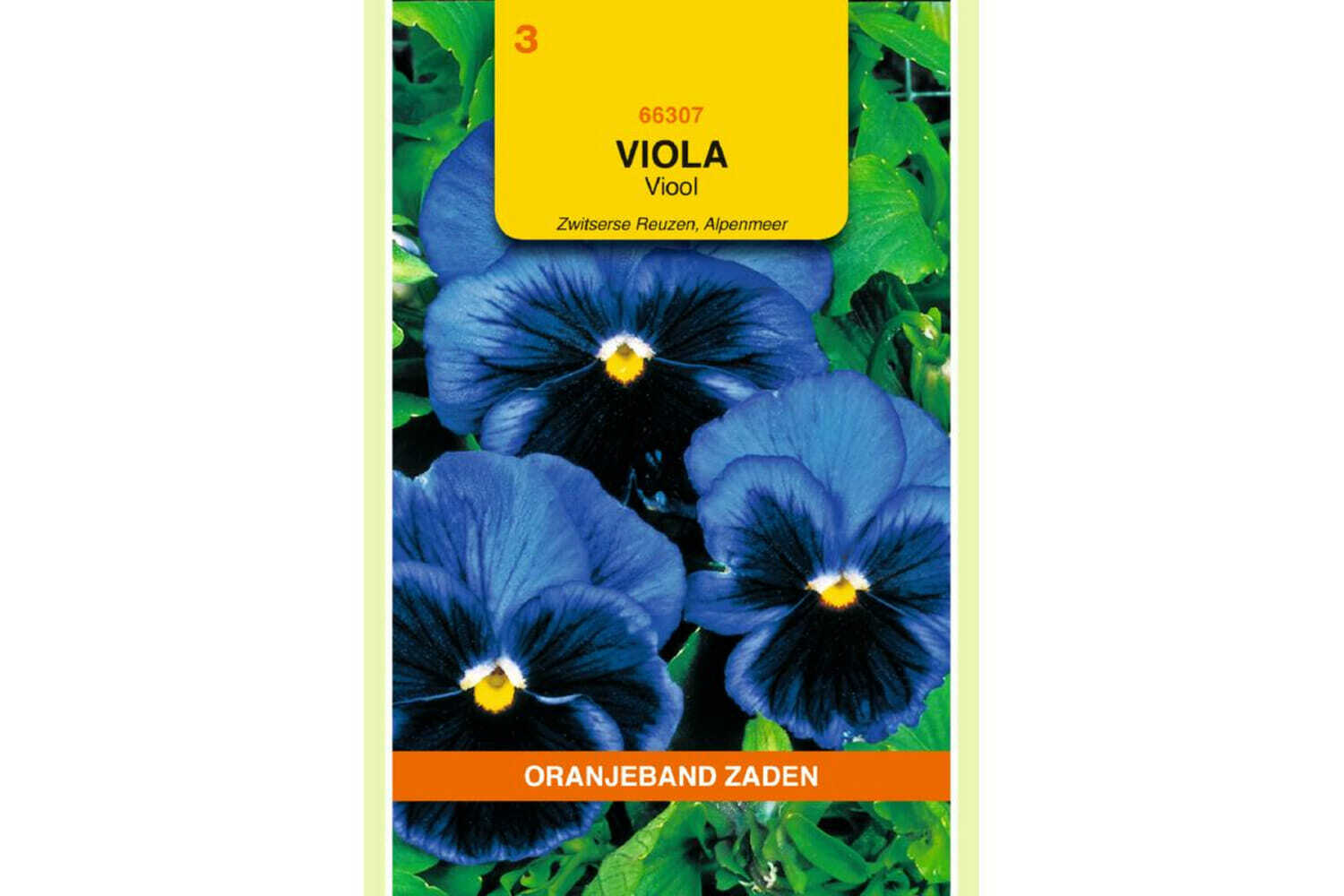 OBZ 666307 Viola, Viool Alpenmeer