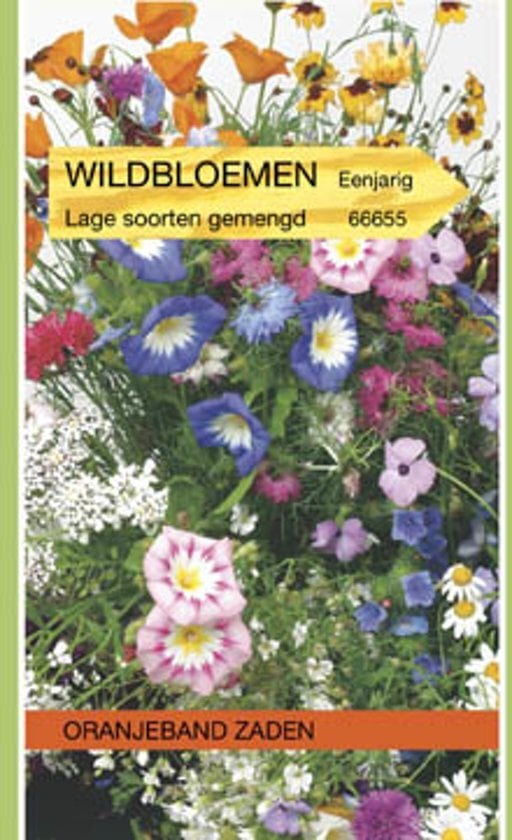 OBZ 666655 Wildbloemen mengsel eenjarig, laag