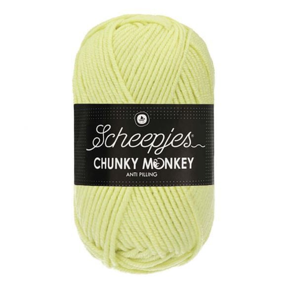 Scheepjes Chunky Monkey 100g - 1020 Mint