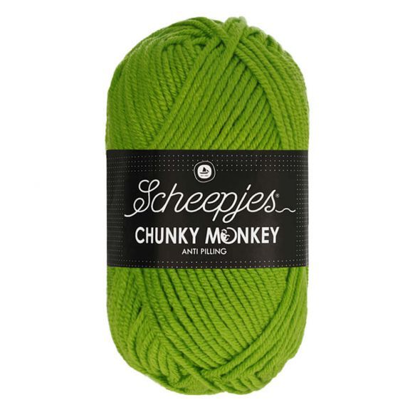 Scheepjes Chunky Monkey 100g - 2016 Fern