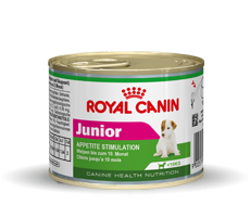 ROYAL CANIN MINI JUNIOR WET 195 GR