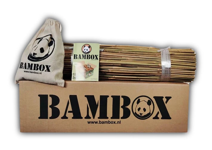 BAMBOX Start 60  cm