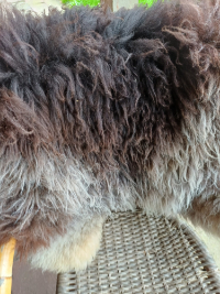 oude bruine schapenvacht opgefrist, detail van de wol
