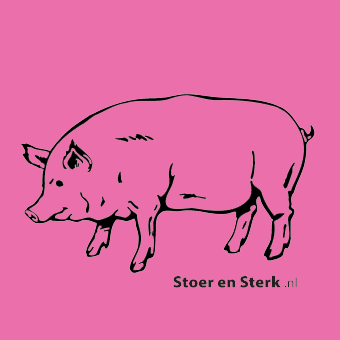Regenpijp overall Roze met zwart varken
