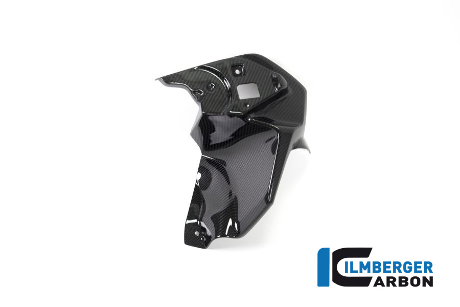 Ilmberger Air Intake scoop/Radiator Cover kit x 2 Carbon SAVE