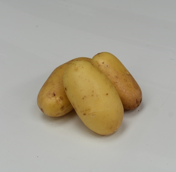Aardappel-Allians