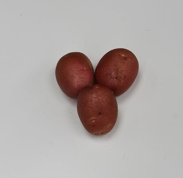 Aardappel-Alouette