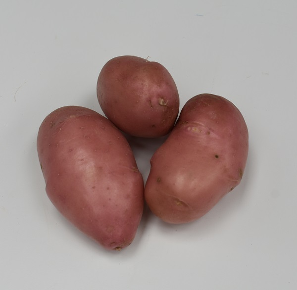 Aardappel-Desiree
