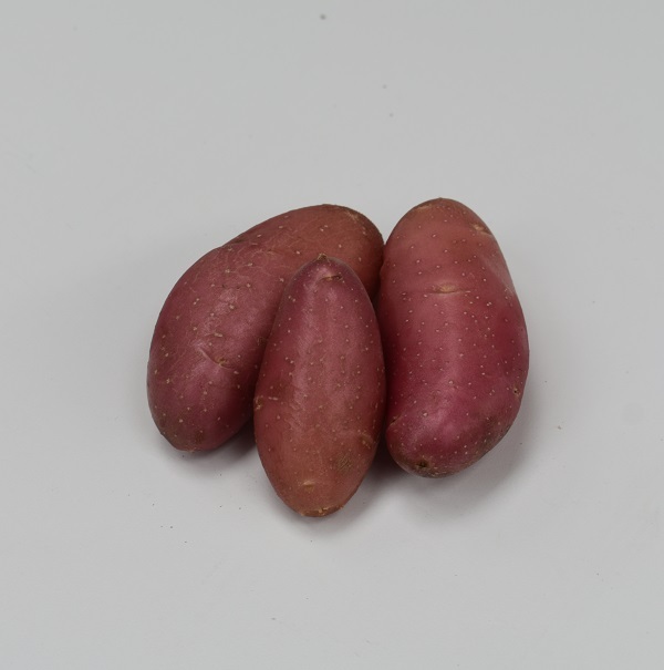 Aardappel-Laura