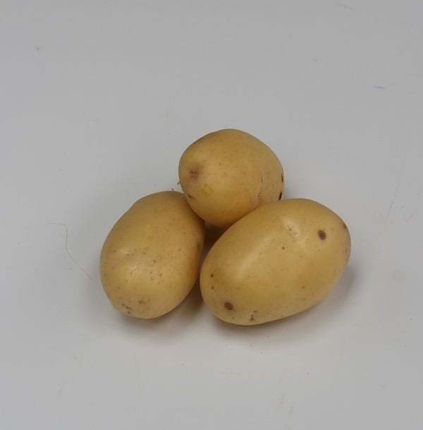 Aardappel-Nicola