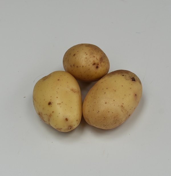 Aardappel-Slavink