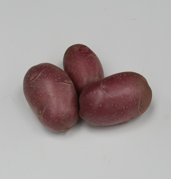 Aardappel-Luna-Ross