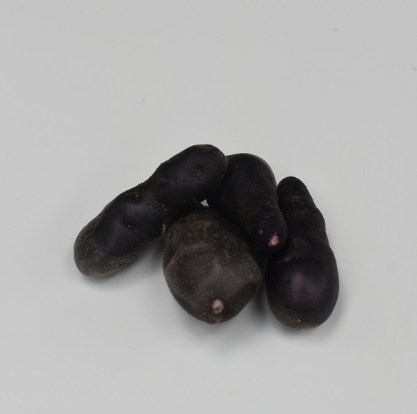 Aardappel-Vitalotte-Noire