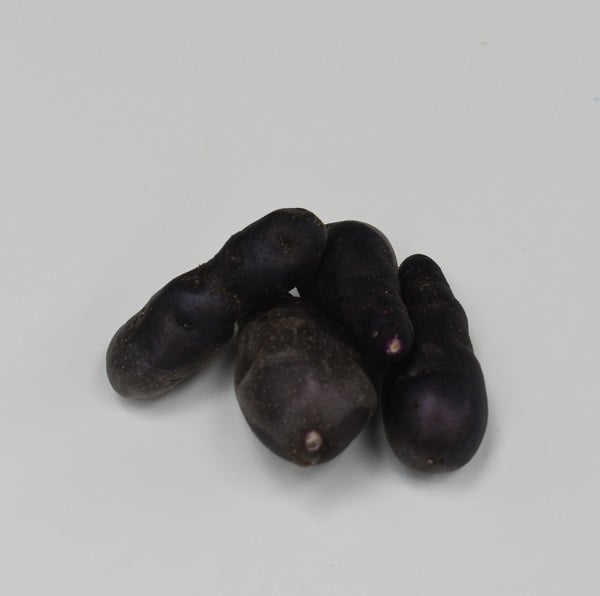 Aardappel-Vitalotte-Noire