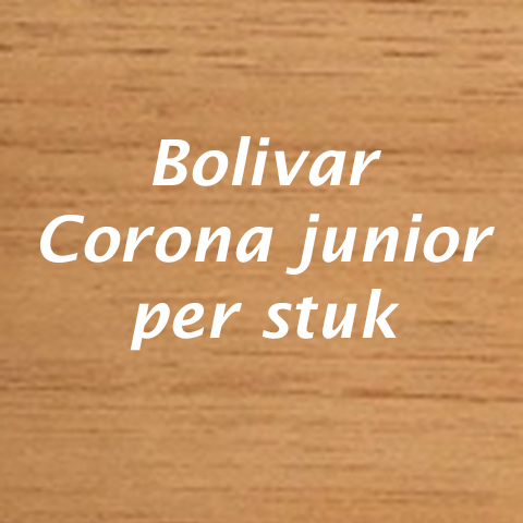 Bolivar Corona Junior