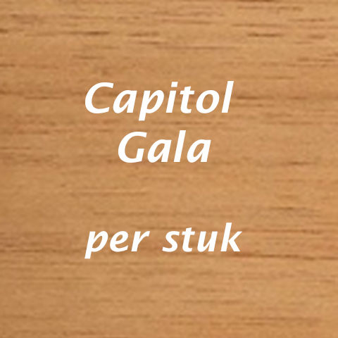 Capitol Gala