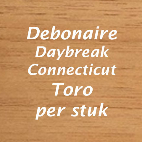 Debonaire Daybreak Connecticut