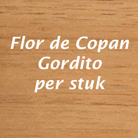 Flor de Copan Gordito