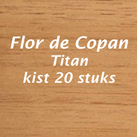 Flor de Copan Titan
