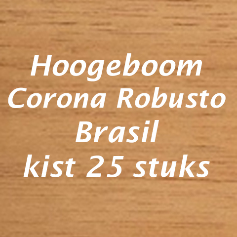 Hoogeboom Corona Robusto Brasil