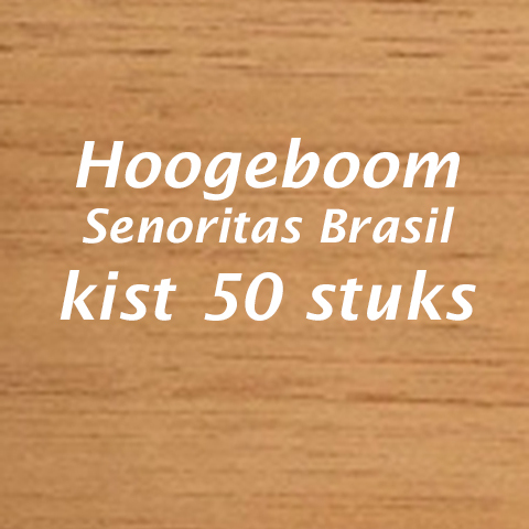 Hoogeboom Senoritas Brasil
