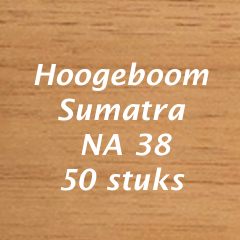 Hoogeboom Sumatra NA 38