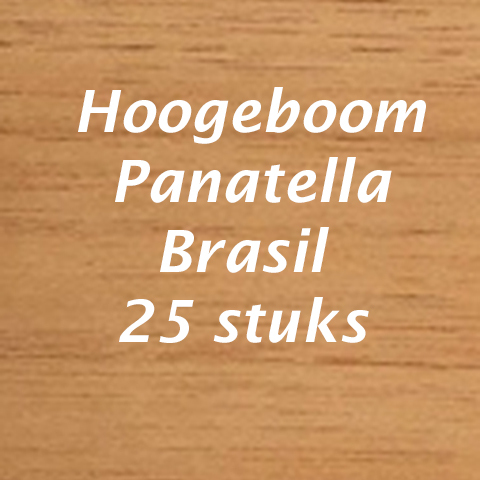 HOOGEBOOM Panatella Brazil