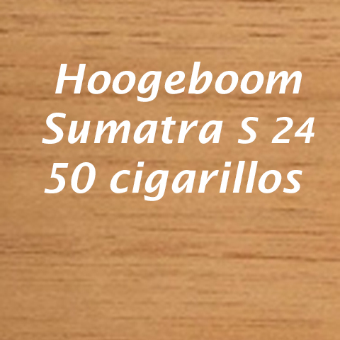 Hoogeboom S24