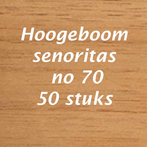 Hoogeboom senoritas no 70