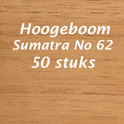 Hoogeboom sumatra No 62