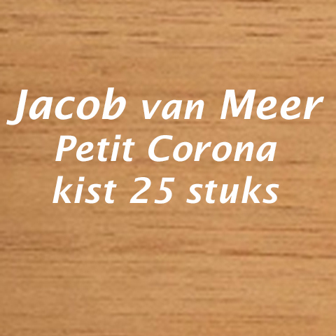 <h2>Jacob van Meer petit corona</h2>