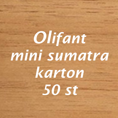 Olifant  Mini Sumatra