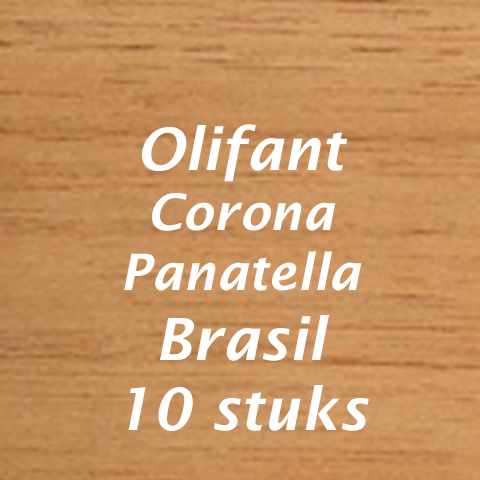Olifant Corona Panatella Brasil