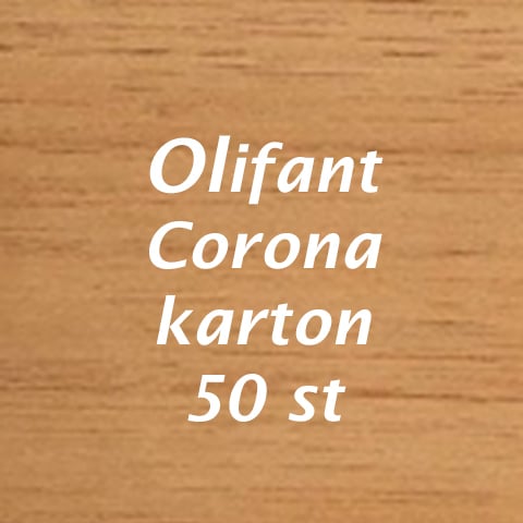 Olifant Corona