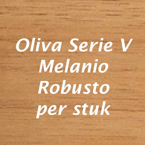 Oliva Serie V Melanio Robusto