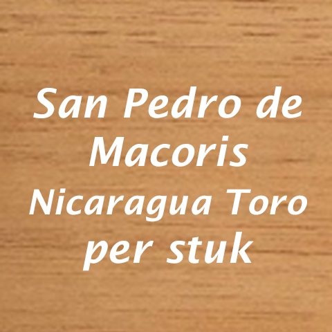 San Pedro de Macoris Nicaragua Toro