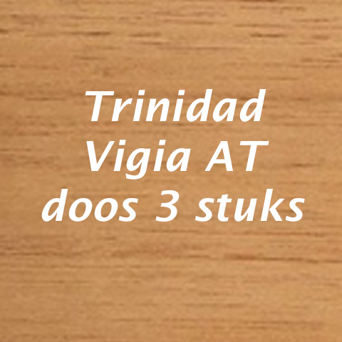 Trinidad Vigia AT