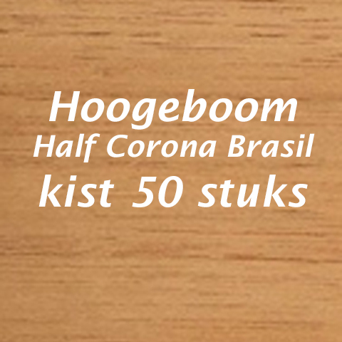 Hoogeboom Half Corona Brasil