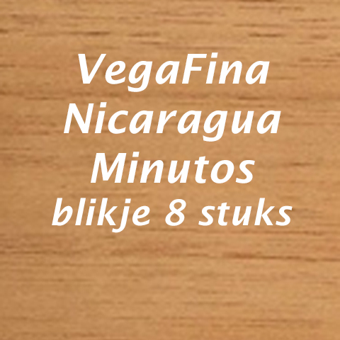 Vegafina Nicaragua minutos