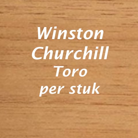 Winston Churchill Toro