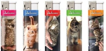 Adamo Cat aanstekers (5 stuks)