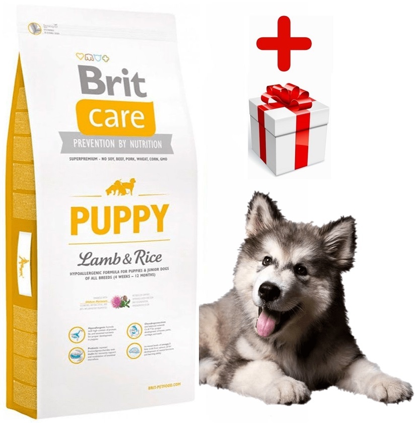 Brit care puppy lam&rijst hypo allergeen 12kg + bonus