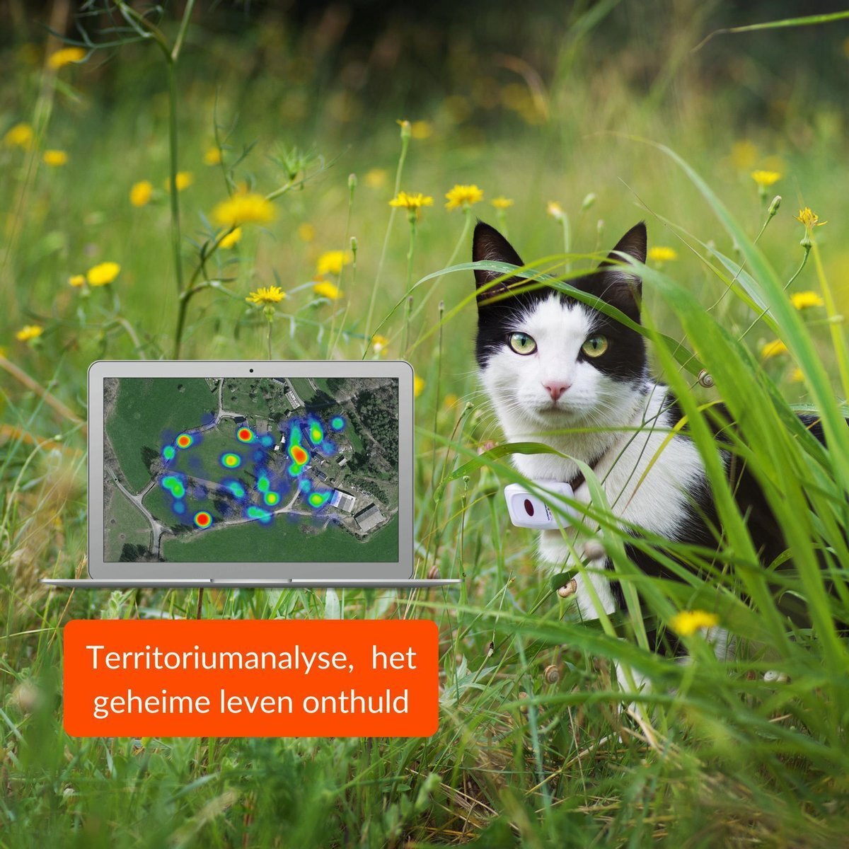 Weenect CATS² GPS Tracker voor katten